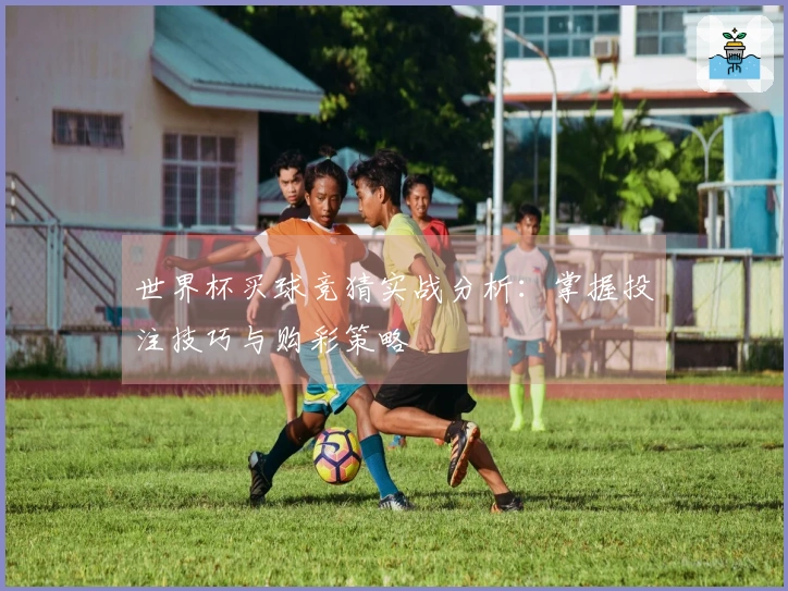 世界杯买球竞猜实战分析：掌握投注技巧与购彩策略