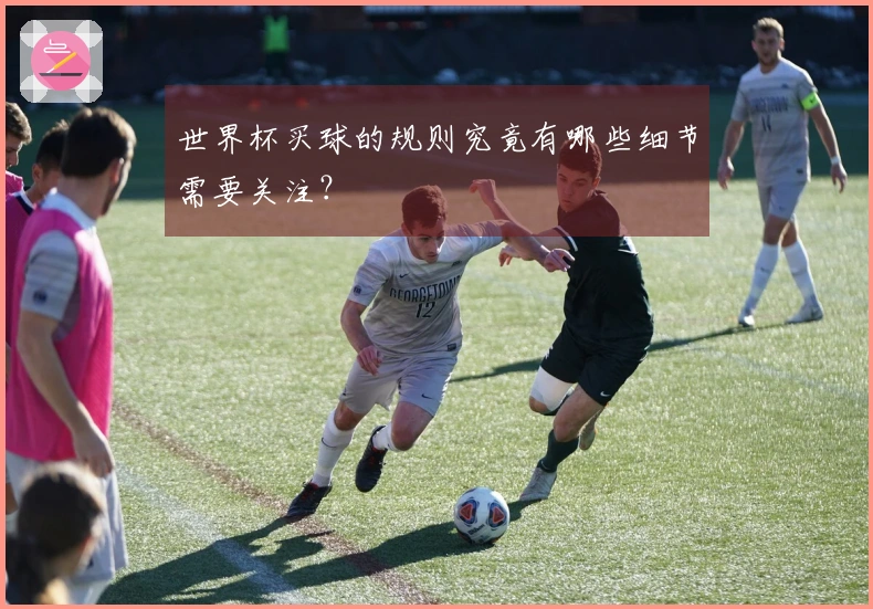 世界杯买球的规则究竟有哪些细节需要关注？