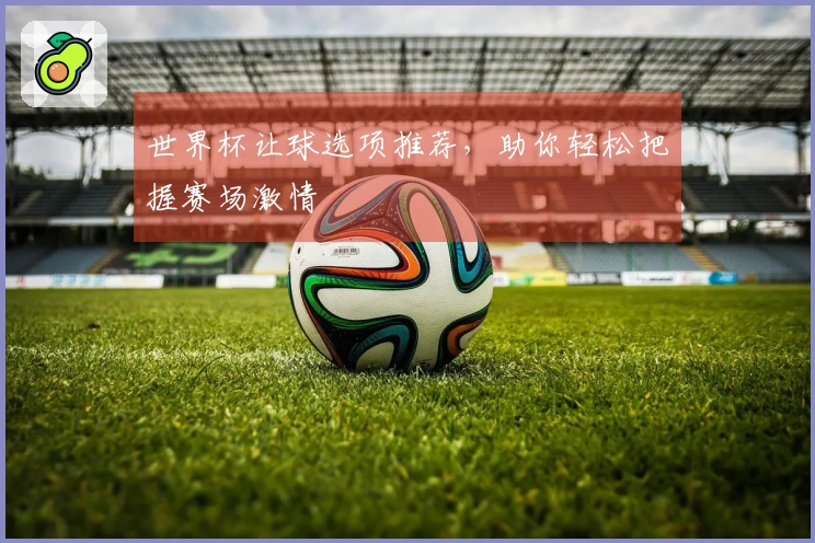 世界杯让球选项推荐，助你轻松把握赛场激情