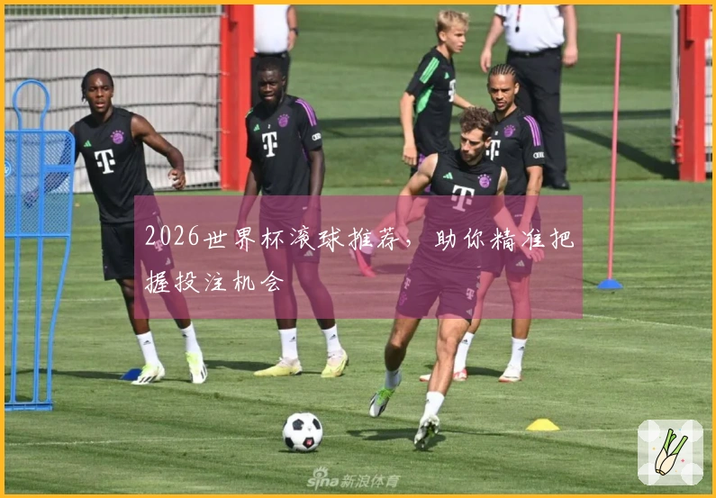 2026世界杯滚球推荐，助你精准把握投注机会
