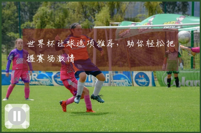 世界杯让球选项推荐，助你轻松把握赛场激情