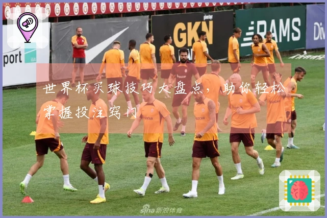 世界杯买球技巧大盘点，助你轻松掌握投注窍门