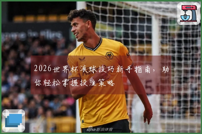 2026世界杯滚球技巧新手指南，助你轻松掌握投注策略