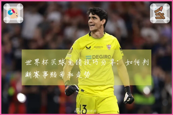 世界杯买球竞猜技巧分享：如何判断赛事赔率和走势
