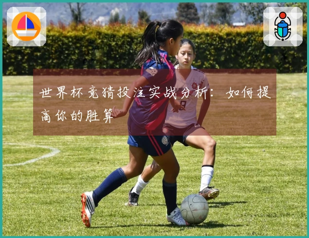 世界杯竞猜投注实战分析：如何提高你的胜算