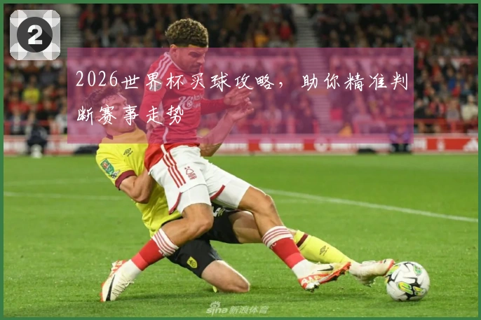 2026世界杯买球攻略，助你精准判断赛事走势