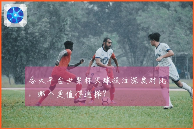 各大平台世界杯买球投注深度对比，哪个更值得选择？